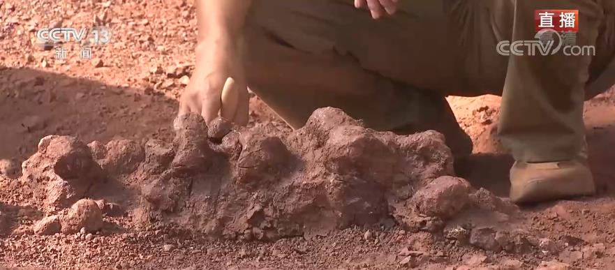 ���ط�٪�޼͡�����»�������ʯ�ƿ����򡷣���Խ������һ��̽��Զ�Ű���