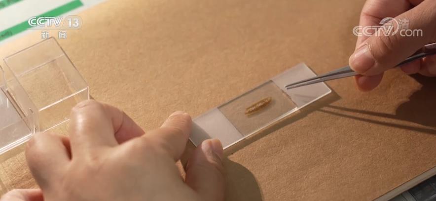 ��������Ѫ������Ѫ�������ж������䣿