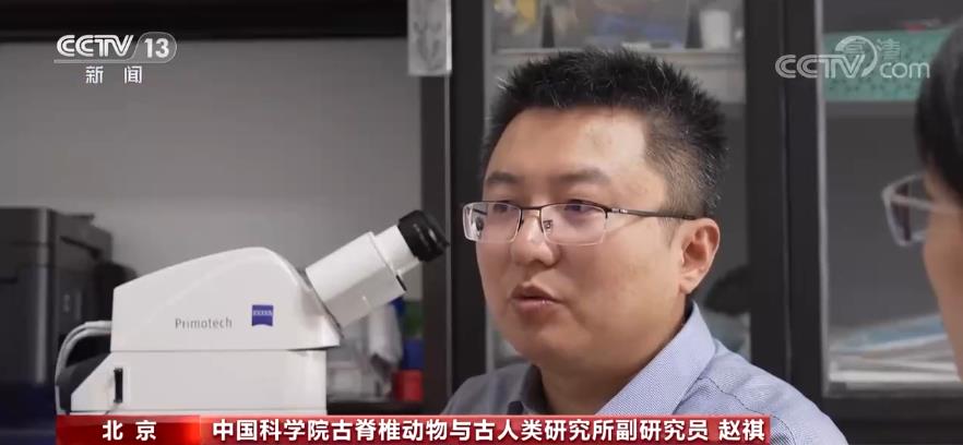 ��������Ѫ������Ѫ�������ж������䣿