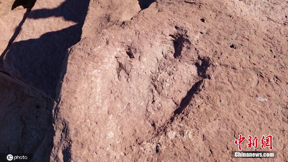 阿根廷里奥内格罗省海岸警卫队巡逻时发现两足恐龙脚印化石