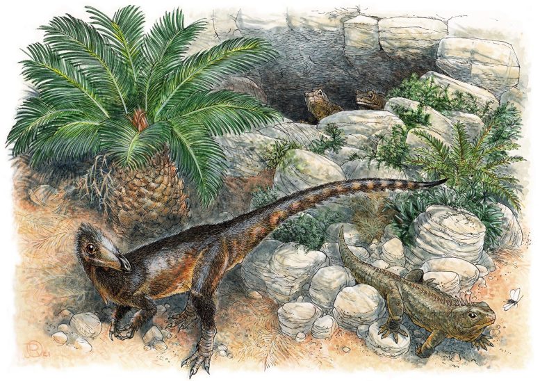 英国发现的最古老食肉恐龙被命名为Pendraig milnerae