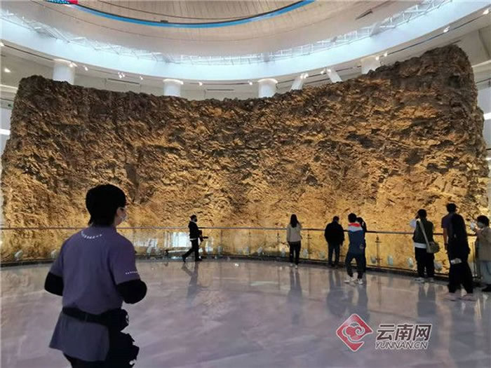 �������������߽�COP15���ڳν����桱������