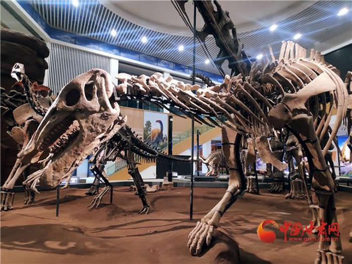 ����������Ͽ��������� Ϊ�����ƺ���Ͽ������������Ƭ