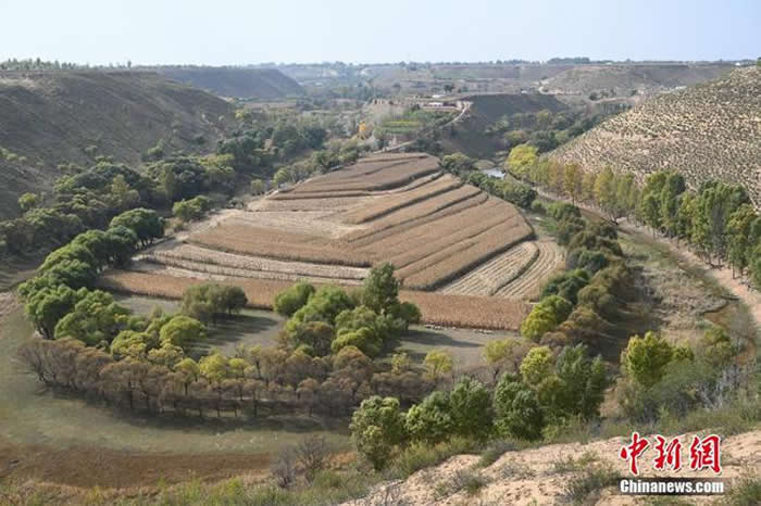 ̽���������տ�����ַ��԰