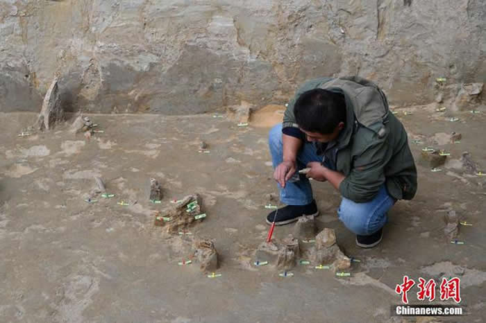 ̽���������տ�����ַ��԰