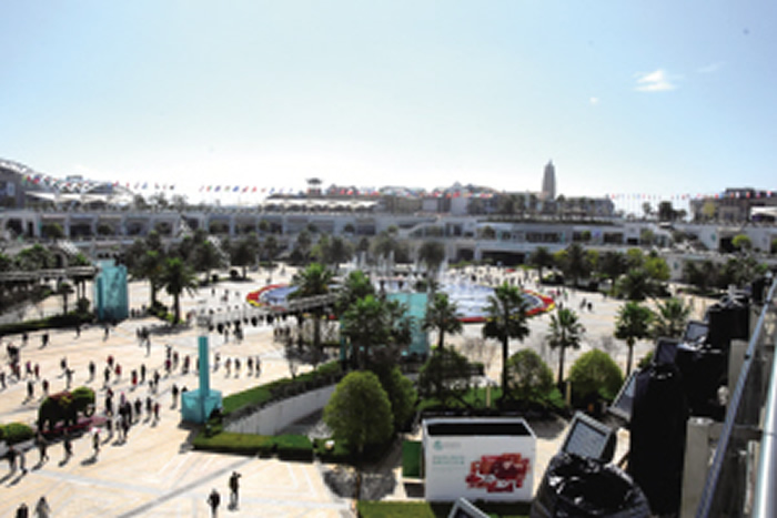 COP15�᳡�������� ��������̽�����ܽӴ������ﻯʯ