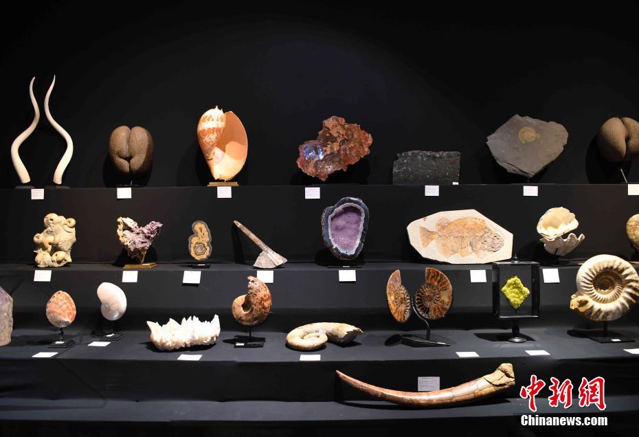 ������Ȼʷ��ز�Ʒ�ڷ��������³��������չ��