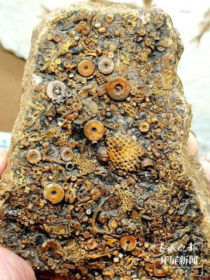 ��������½������·��ҪС�� ˵�������¾������ʯ