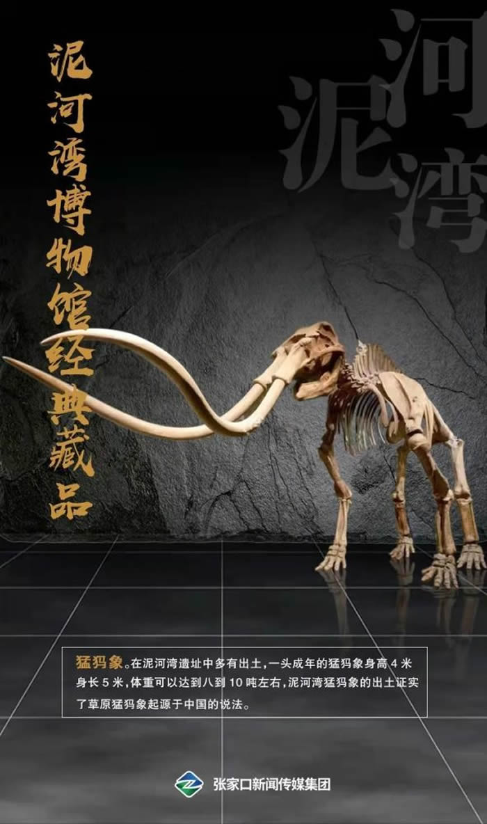 ����岩���ʮ�������Ʒ