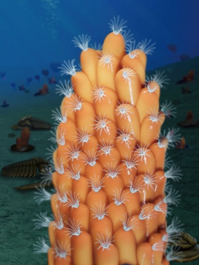 ����̦޺���︴ԭͼ  ��־���Ŷӹ�ͼ