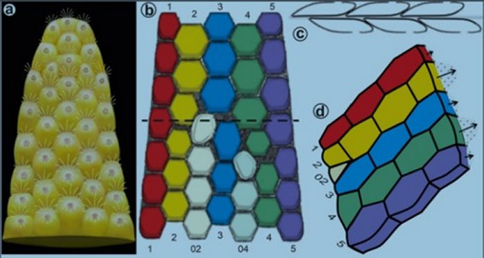 ̦޺������湹��ʾ��ͼ  ��־���Ŷӹ�ͼ