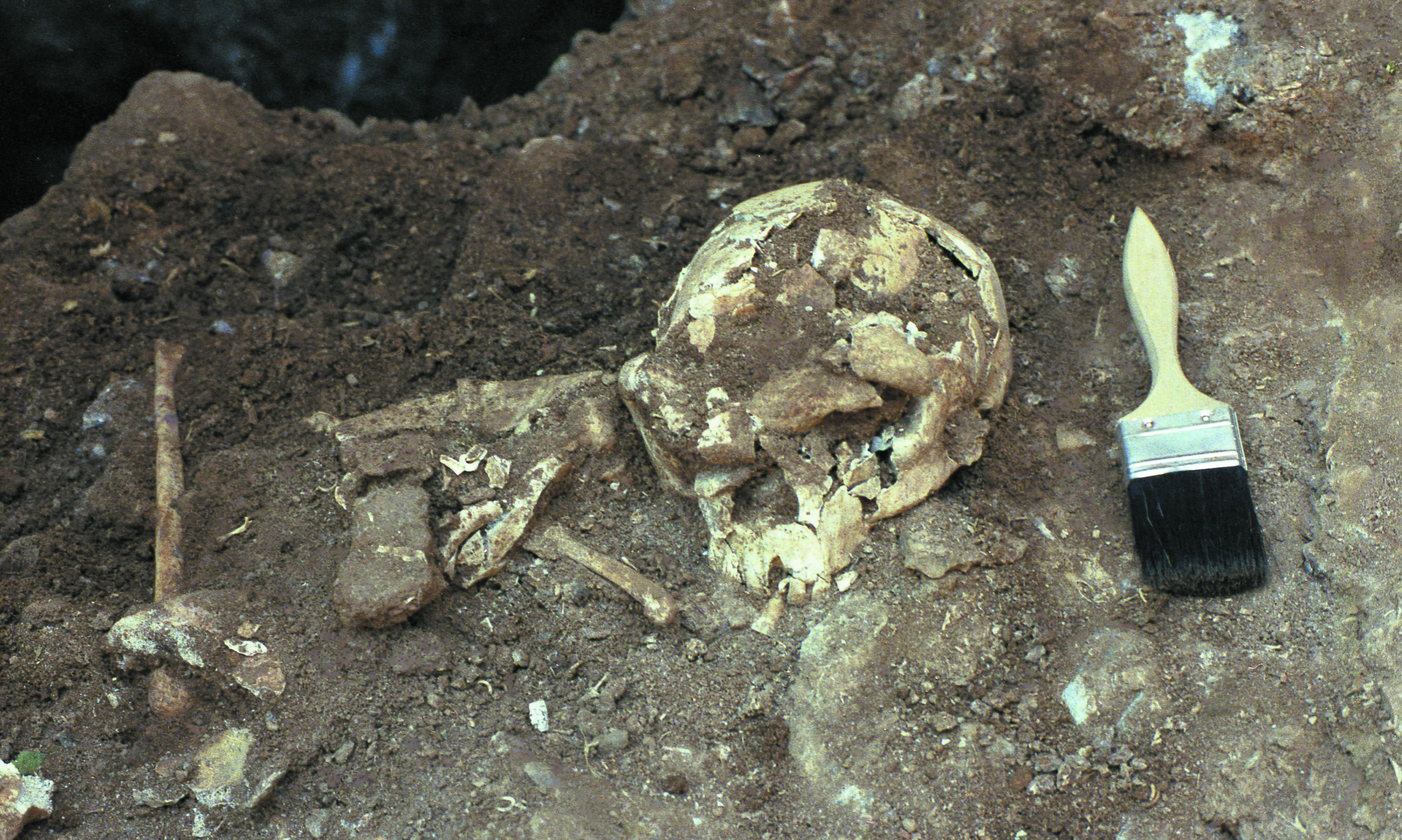 ��ţɽ�˻�ʯ�����ֳ�