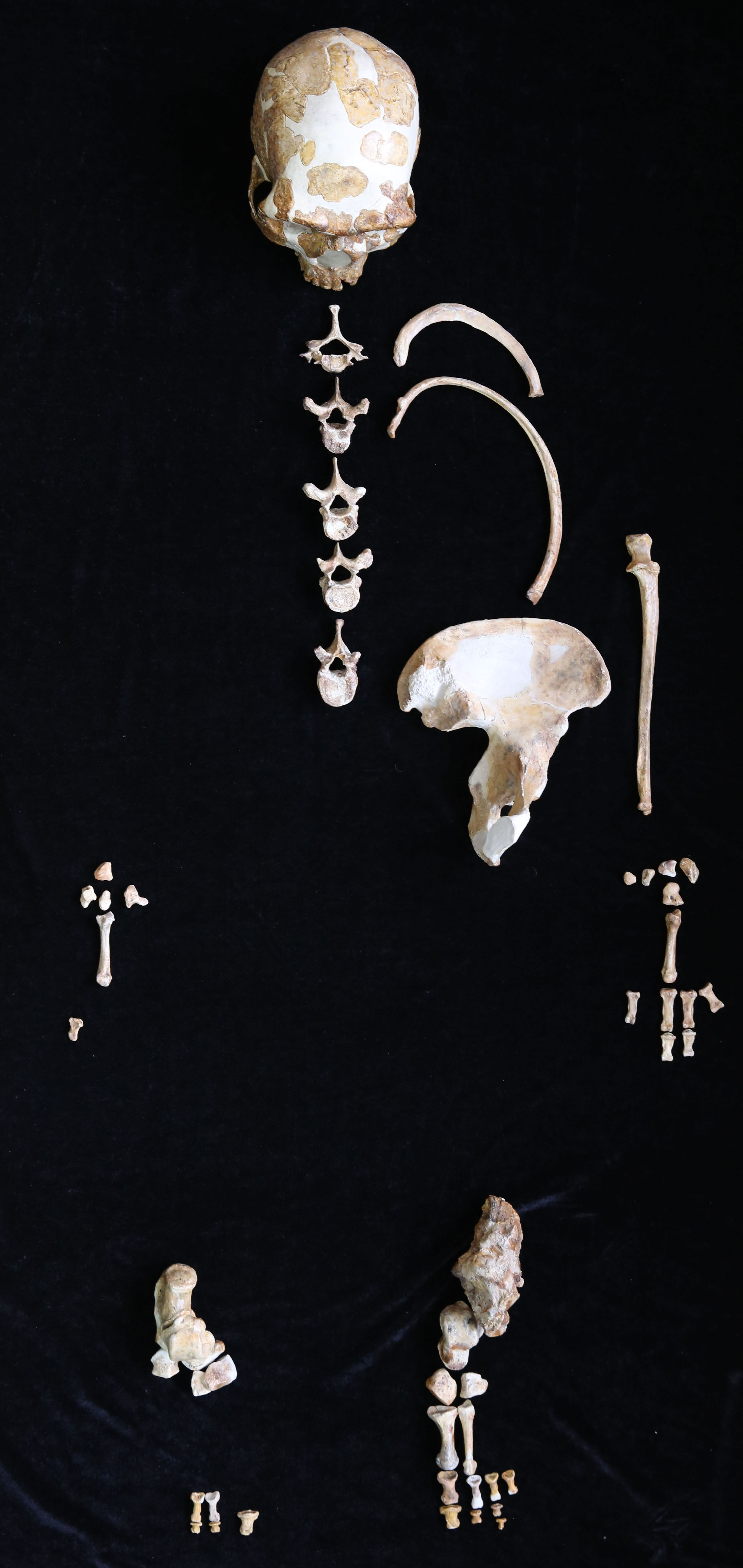 ��ţɽ�˻�ʯ