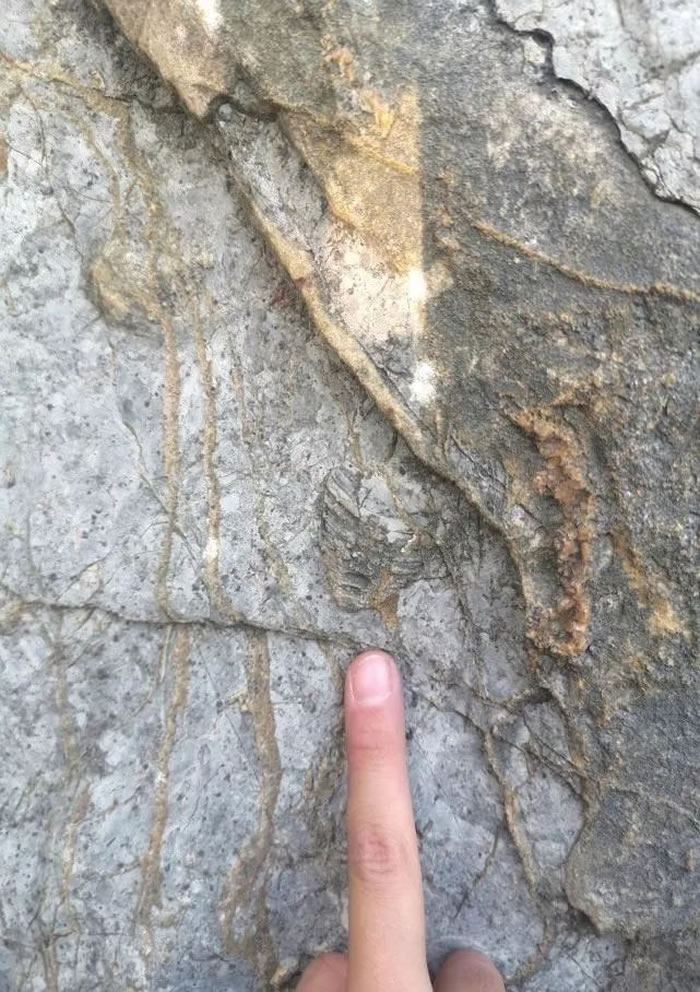 ����������԰���ְ��ռ͵Ľ�ʯ��ʯ