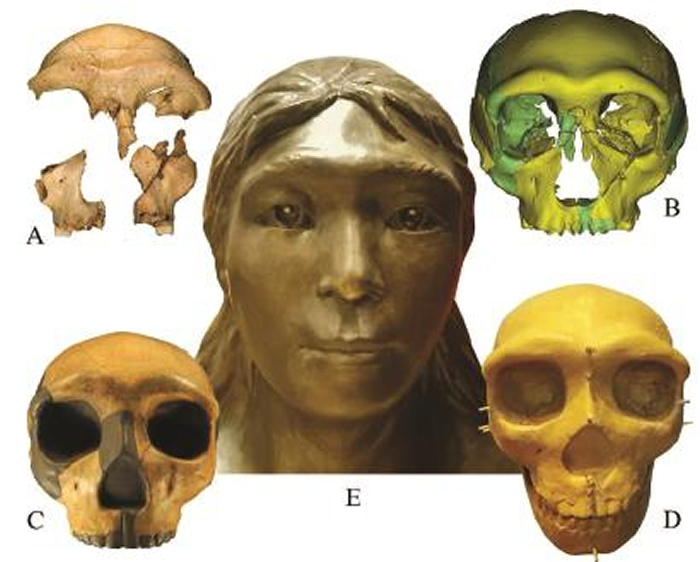 ���ջ���������ͷ�ǻ�ʯ�о���ʾ��30����ǰ�Ĺ������沿�����붫���ִ�������