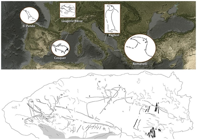 意大利临海洞穴中发现1.4万年前旧石器时代壁画 海鸟野牛栩栩如生
