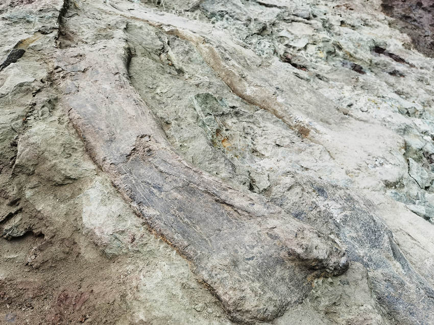 ������ʯ�������� ������