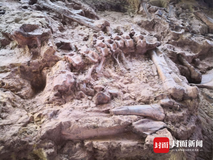 ���������ǣ�������ѧ�ҽ��˸�ʵ���� �о����ؿ�������ɶ��ͬ