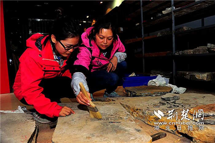 ����ʡ���ʿ�ѧ�о�Ժ�ؿ󿱲�߼�����ʦ�����������ɽ����������ʯ��