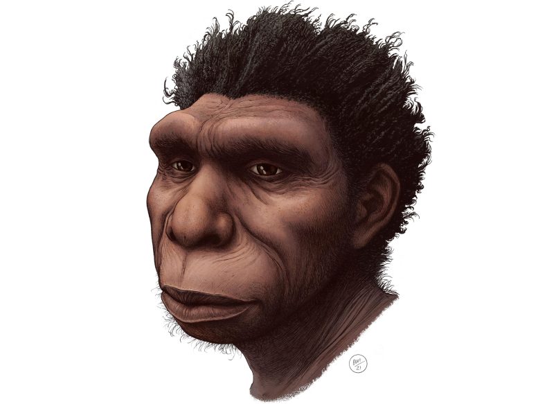 埃塞俄比亚发现人类祖先新物种Homo bodoensis