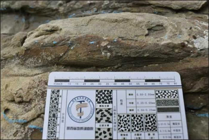 ����ʡ���ʵ���Ժ���±����ֶദ��Ҫ�����㼣��ʯ