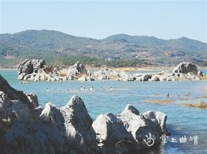 ���ʰ�������մ�溣��ʪ������ʱ���ⷢ��ʯͷ�������໯ʯ