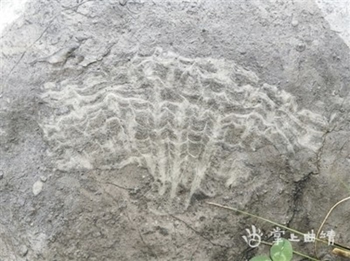 ���ʰ�������մ�溣��ʪ������ʱ���ⷢ��ʯͷ�������໯ʯ