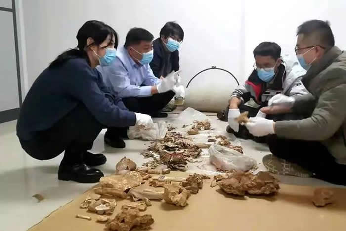 胶东旧石器文化遗存考古课题福山项目正式开题——求解大谷家原始溶洞之谜