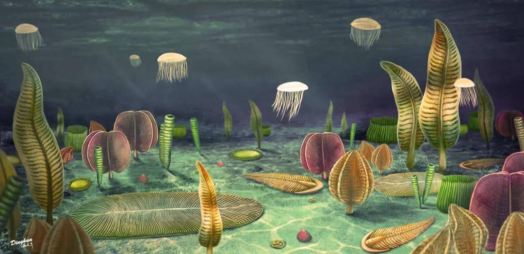 ���Ͽ�������Ⱥ��ԭͼ���Ͼ�����������������ƣ�