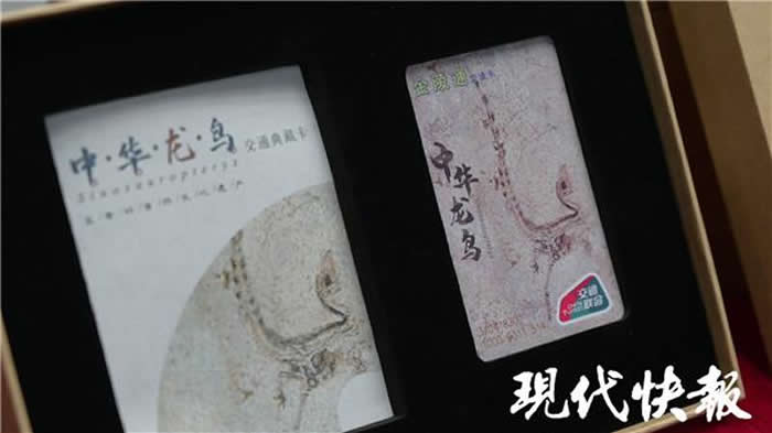 ���л����Ĵ�Ҳ��Ȧ���л���������Ͼ���ͨ��