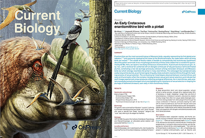 �п�Ժ�ż�׵�������������ࡪ����β�g�R�о����ϡ���������ѧ����������