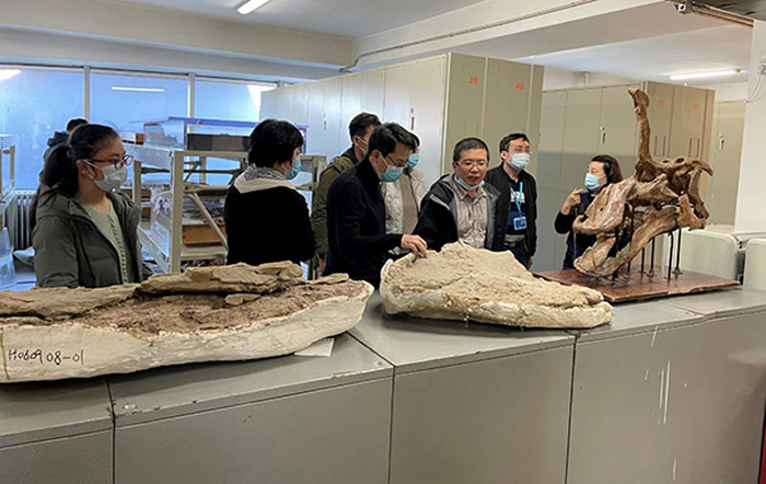 北京市古生物化石专家委员会到中国科学院古脊椎动物与古人类研究所开展检查工作