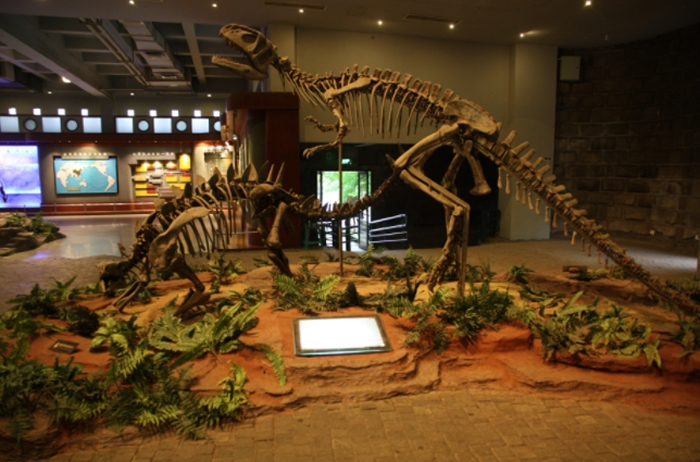 川渝共建古生物与古环境协同演化重庆市重点实验室想帮恐龙“耍朋友”