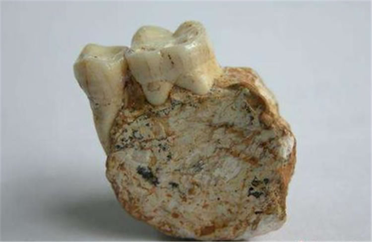 ��ɽ��������ַ��������������ȡ�ʷǰ�Ļ���ԭ��