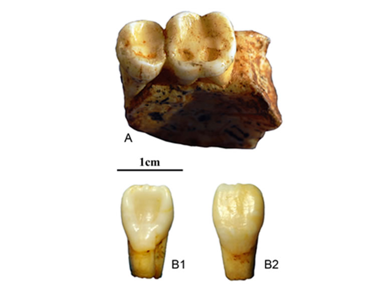 ��ɽ��������ַ��������������ȡ�ʷǰ�Ļ���ԭ��