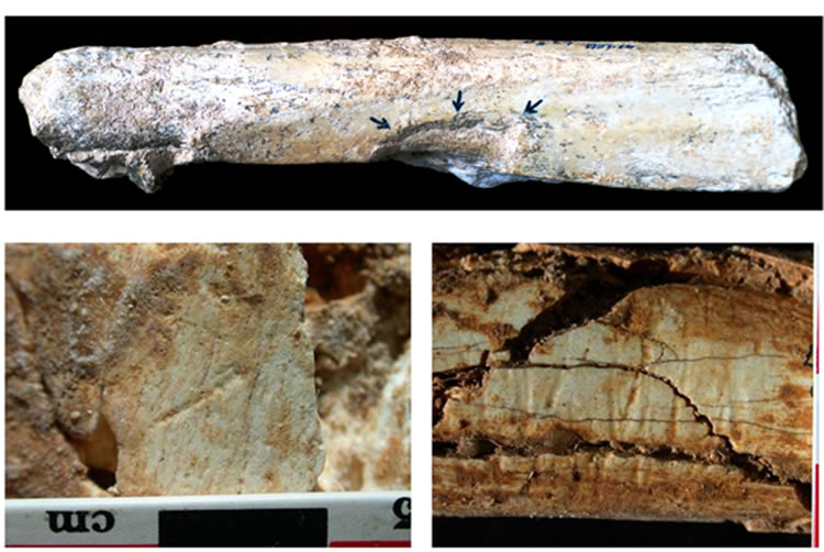 ��ɽ��������ַ��������������ȡ�ʷǰ�Ļ���ԭ��