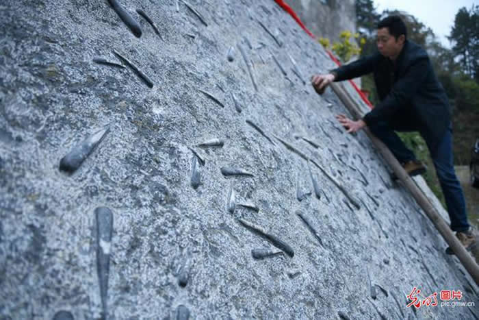 3000��ֻ���𵩽�ʯ�����ֺ���ʡ��ʩ����������������������