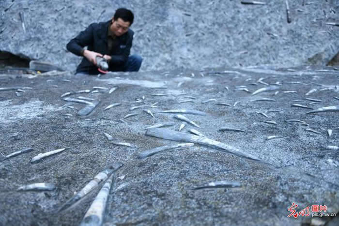 3000��ֻ���𵩽�ʯ�����ֺ���ʡ��ʩ����������������������