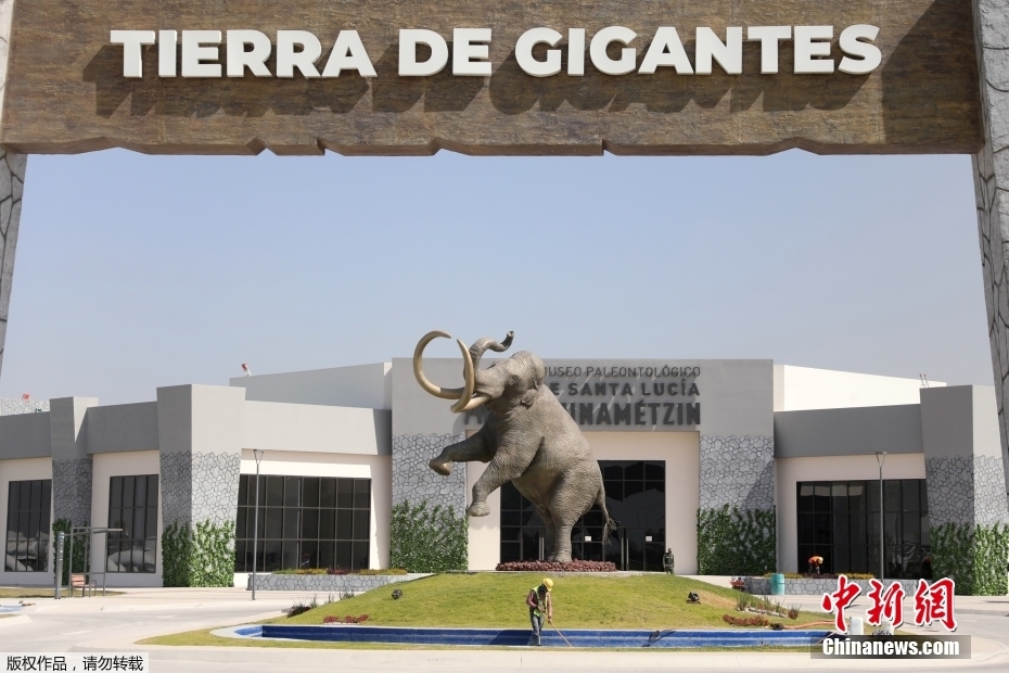 ī�����׶�ī������½��������ط����������ʯȺ �͵��˽������