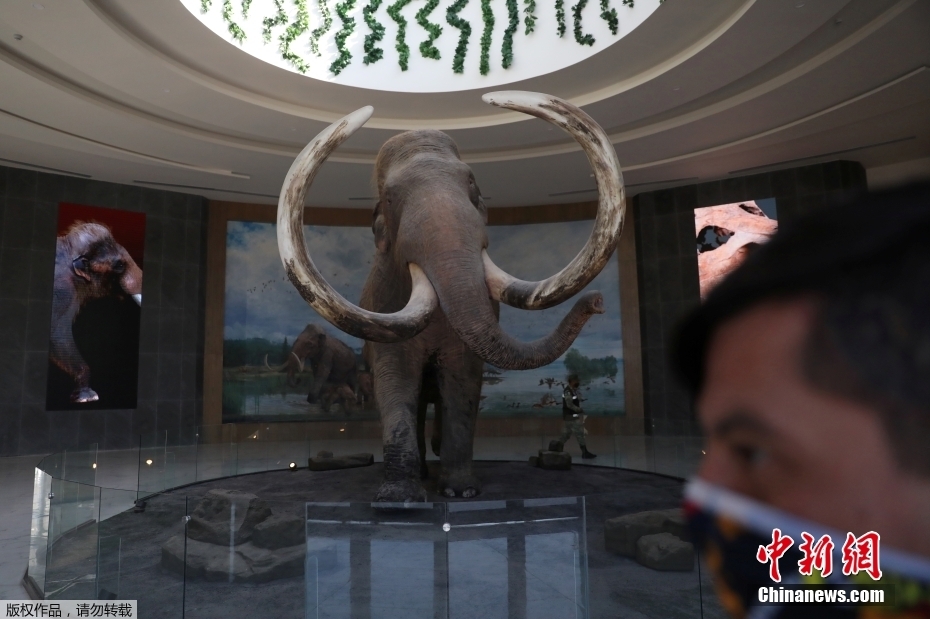 ī�����׶�ī������½��������ط����������ʯȺ �͵��˽������