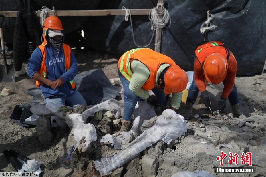 ī�����׶�ī������½��������ط����������ʯȺ �͵��˽������