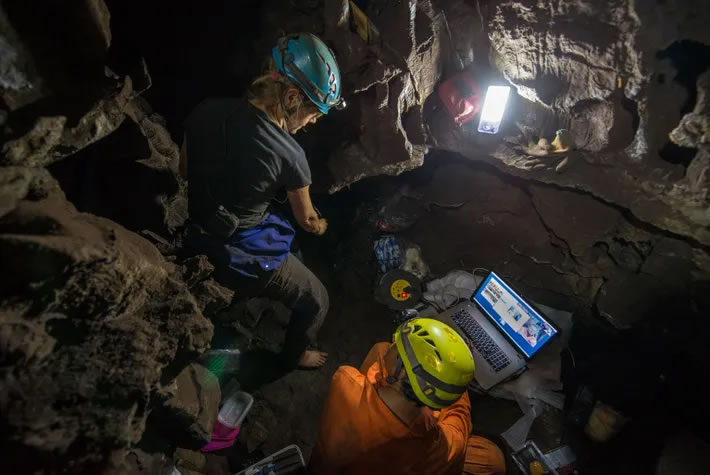 在2013年探险中，Marina Elliott与古生物学家Ashley Kruger一起探索侧边的岩岩室Elliott是六位科学家之一，凭借技巧和体格来到迪纳