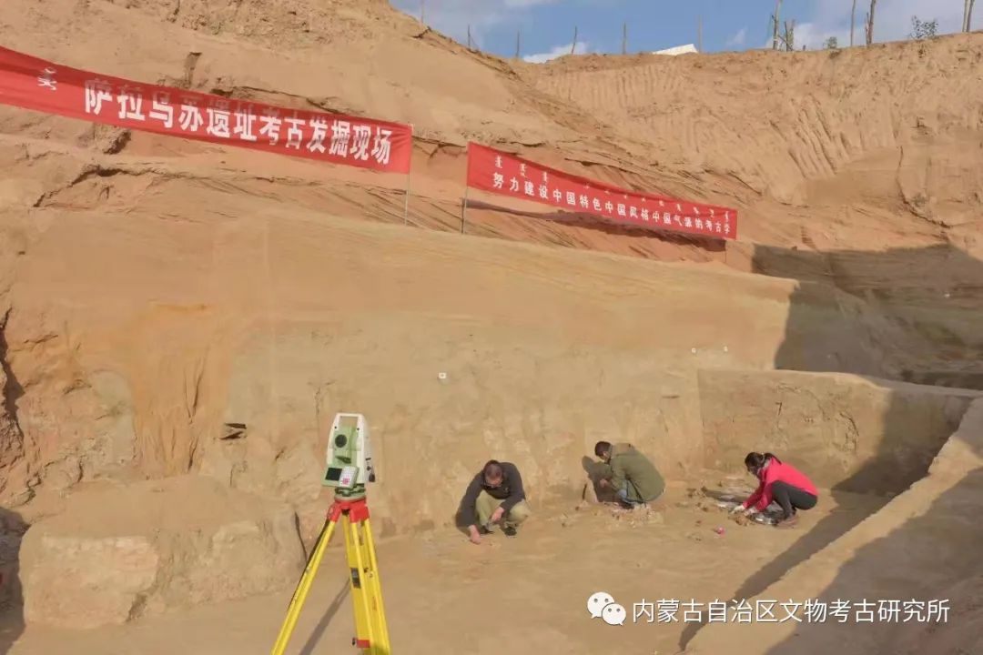 �������վ�ʯ��ʱ����ַ2021�꿼�ŷ������ջ����������ٿ�