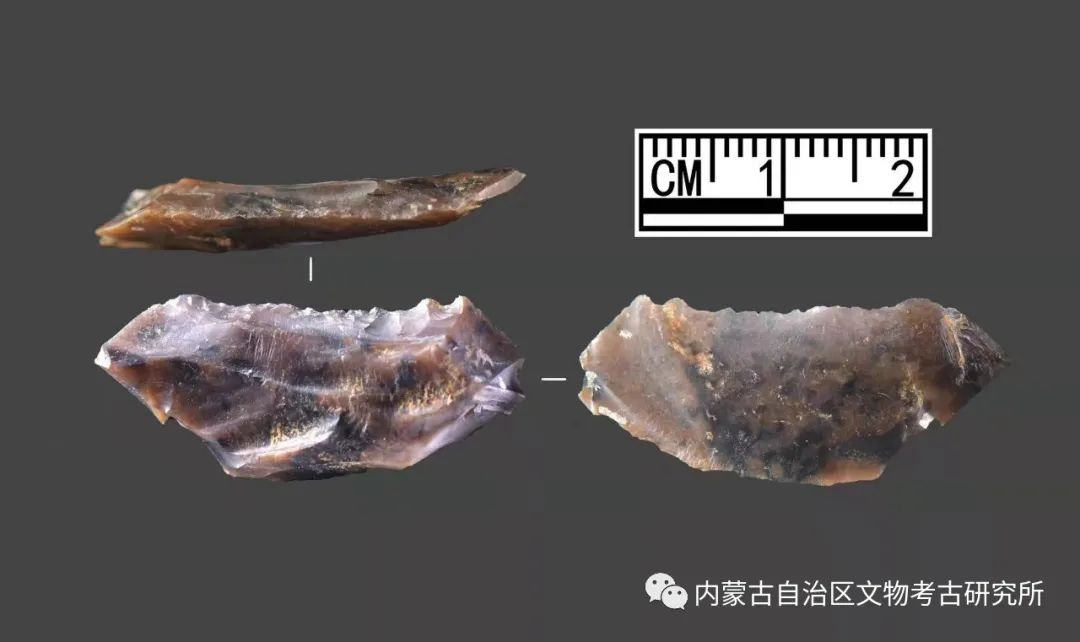 �������վ�ʯ��ʱ����ַ2021�꿼�ŷ������ջ����������ٿ�