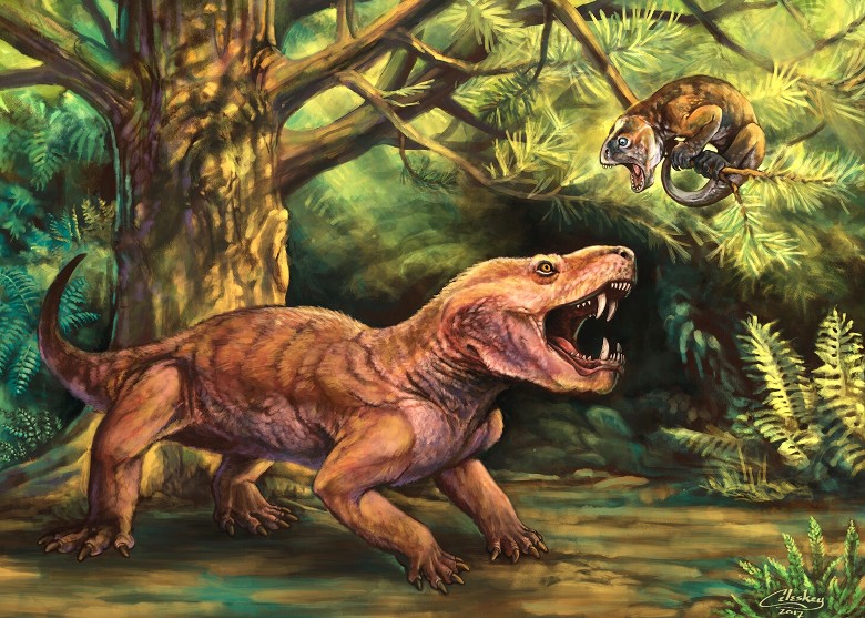最新研究指3亿年前的似哺乳爬行动物丽齿兽为显支配地位互噬脸部