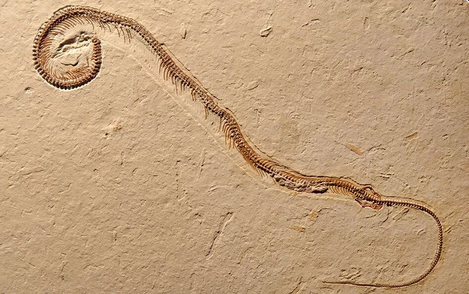 ��ϵͳ������ѧ��־��������1.1����ǰ�ġ������ߡ���ʯʵ������һ�ֺ�������