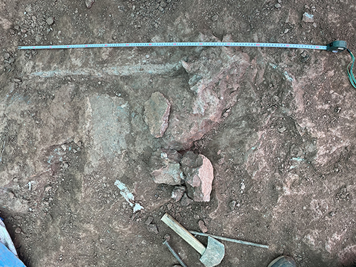 重庆合川发现的恐龙化石初步确定为距今约1.65亿年前的马门溪龙