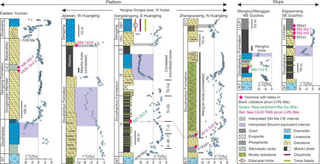 ���ϰ��Ͽ����͵ز�