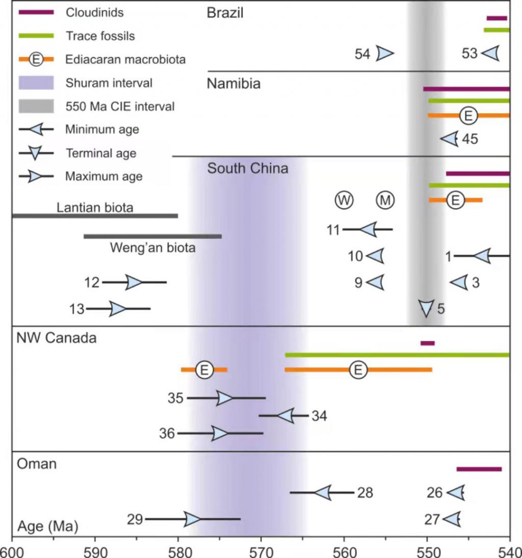 ���Ͽ���������������̼ͬλ�ظ�Ư���¼������ѧԼ��