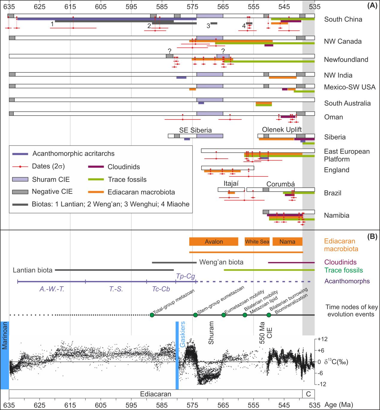 ���Ͽ������ۺ����ѧģ��